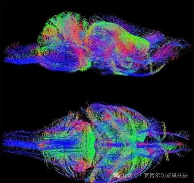 微信图片_2026-03-10_114533_286.jpg